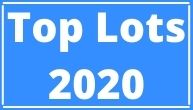 Top Lots of 2020 Countdown